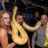 31.10.2017 Schelloween Bilder von Lothar